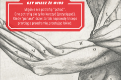 Tip193