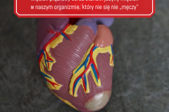 Tip92