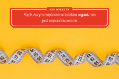 Tip95