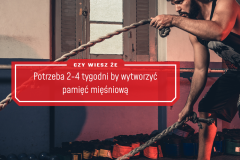 Tip97