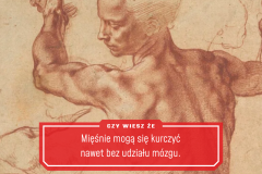 Tip99