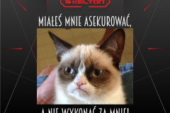 BlackWeek_PT