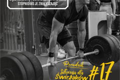 SDS#017