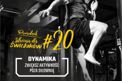 SDS#020