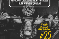 SDS#025