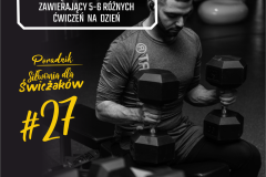 SDS#027