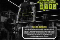 P-SDS110