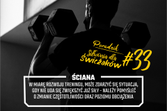 P-SDS33