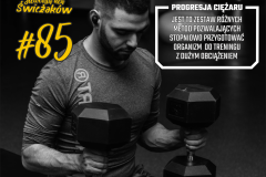 P-SDS85