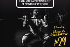 SDS#029